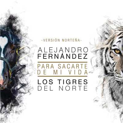 Para Sacarte De Mi Vida (featuring Los Tigres Del Norte／Version Nortena)/Alejandro Fernandez
