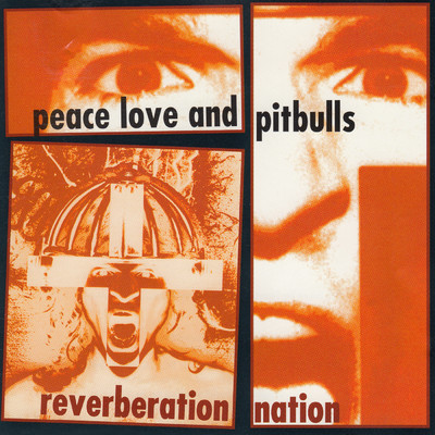 アルバム/Reverberation Nation/Peace Love & Pitbulls