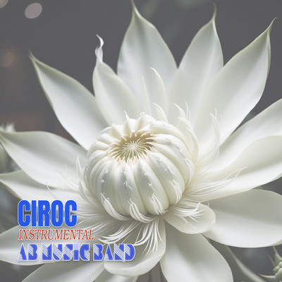 Ciroc (Instrumental)/AB Music Band