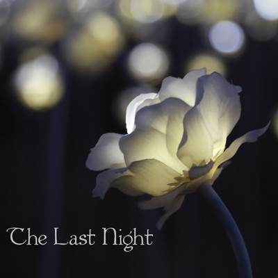 The Last Night(Piano Instrumental)/高山華奈