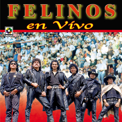 アルバム/En Vivo/Los Felinos