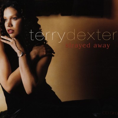 You'll Never Miss Me ('Til I'm Gone)/Terry Dexter