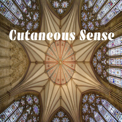 Cutaneous Sense/Vermis ego