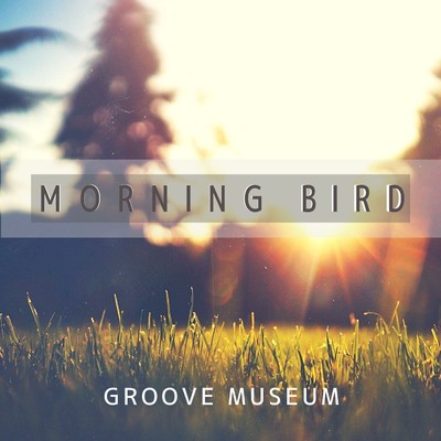 シングル/Morning Bird/Groove Museum