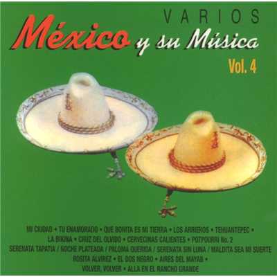 Tehuantepec (inter. Hermanos Luna)/Mexico y su musica Vol. 4