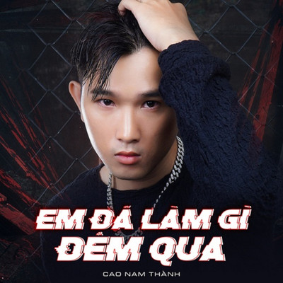 Em Da Lam Gi Dem Qua/Cao Nam Thanh