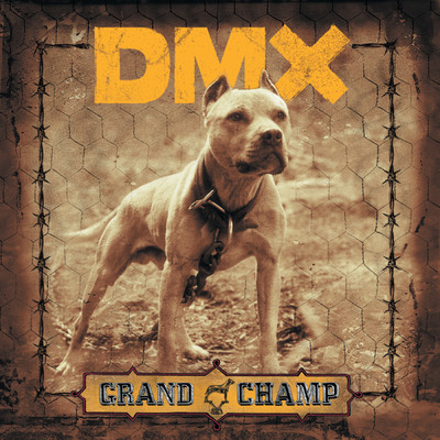 Grand Champ/DMX