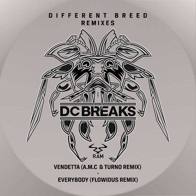 Everybody (Flowidus Remix)/DC Breaks