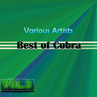 Best of Cobra, Vol. 3/Erna Risty