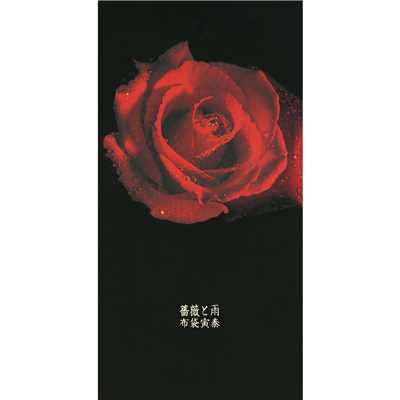 アルバム/薔薇と雨/布袋寅泰