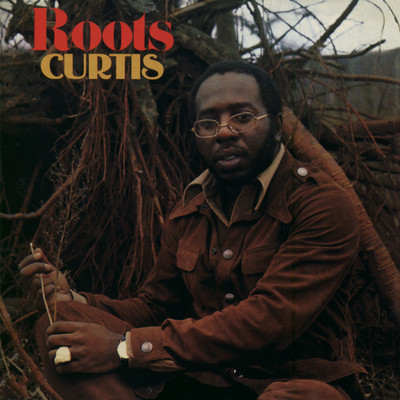 アルバム/Roots/Curtis Mayfield