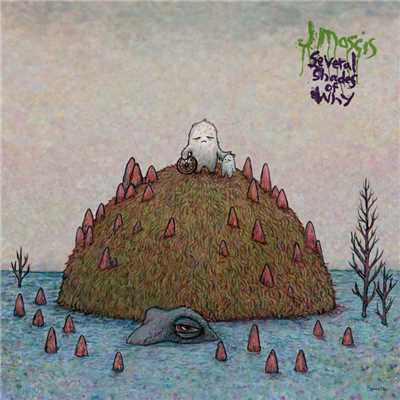 Several Shades of Why/J Mascis