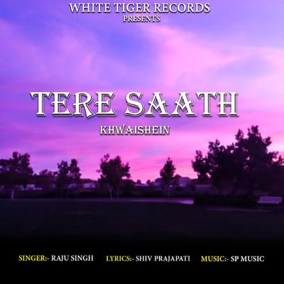 シングル/Tere Saath Khwaishein/Raju Singh