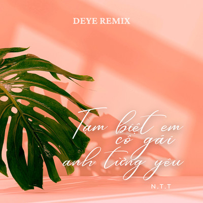 シングル/Tam Biet Em Co Gai Anh Tung Yeu (Deye Remix)/N.T.T