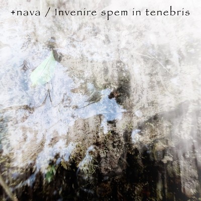 アルバム/Invenire spem in tenebris (2024 Remastered)/+nava