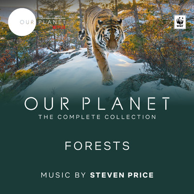 アルバム/Forests (Episode 8 ／ Soundtrack From The Netflix Original Series ”Our Planet”)/スティーヴン・プライス