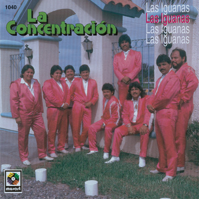 アルバム/Las Iguanas/Grupo la Concentracion