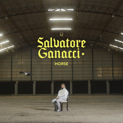 シングル/Horse/Salvatore Ganacci
