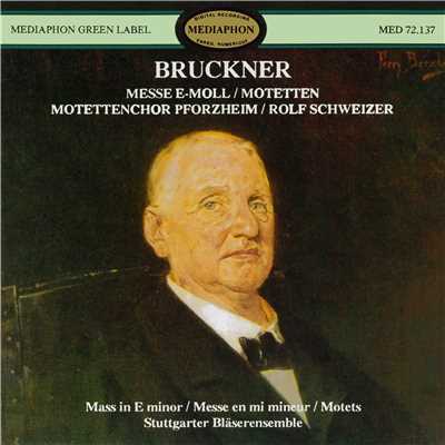 Bruckner: Mass No. 2 in E Minor and Motets/Motettenchor Pforzheim & Rolf Schweizer & Blaserensemble Stuttgart