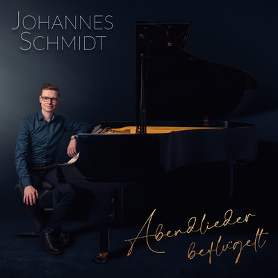 Abendlieder beflugelt/Johannes Schmidt