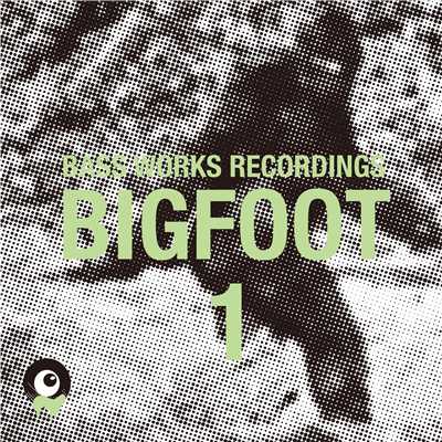BIGFOOT 1/Various Artists