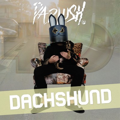 Dachshund/PADLUSH