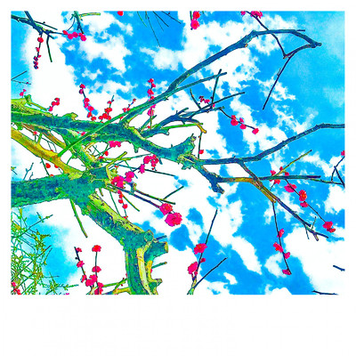 シングル/Spring and the blue of the sky/KAORU303IF
