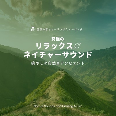 穏やかな呼吸-波音-/自然の音とヒーリングミュージック