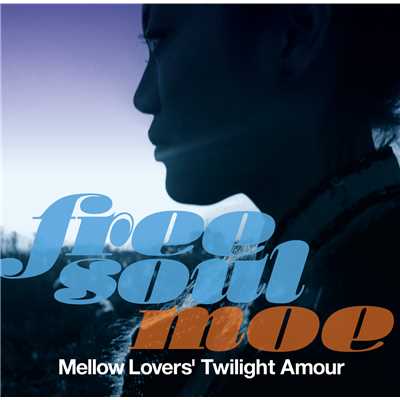 amour after affair ＜2009 New Mix＞/嶋野百恵