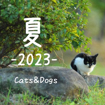 シングル/夏 (2023)/Cats&Dogs