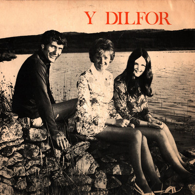アルバム/Y Dilfor/Y Dilfor
