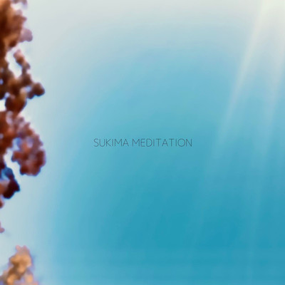 アルバム/SUKIMA MEDITATION/NARUKAMICO