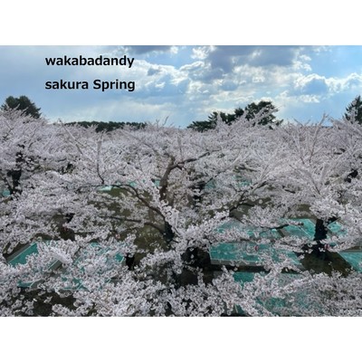 sakuraspring/wakabadandy