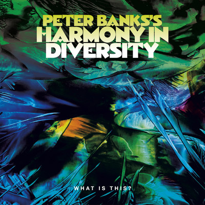 Peter Banks's Harmony in Diversity: What is This？/Peter Banks