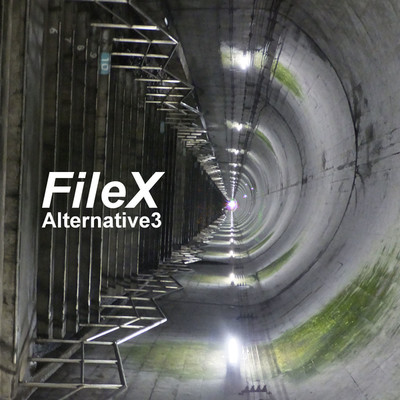 アルバム/FileX/オルタナティブ3
