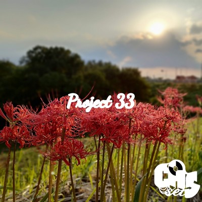 シングル/Project 33/CASset