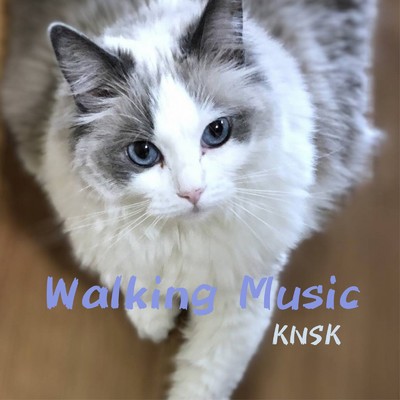 ウォーキング ミュージック/KNSK