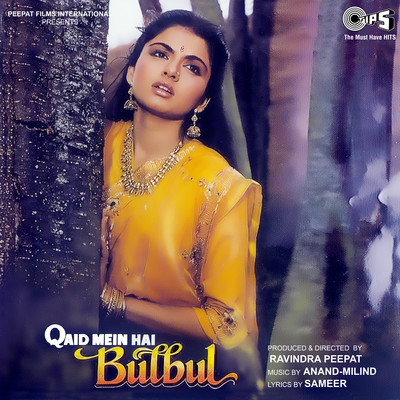 Qaid Mein Hai Bulbul (Original Motion Picture Soundtrack)/Anand-Milind