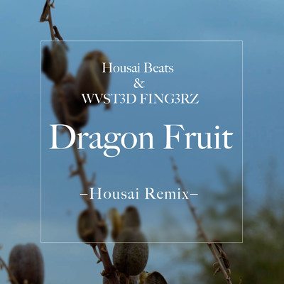 Dragon Fruit(Housai Remix)/法斎Beats & WVST3D FING3RZ