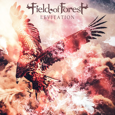 Levitation/FIELD OF FOREST
