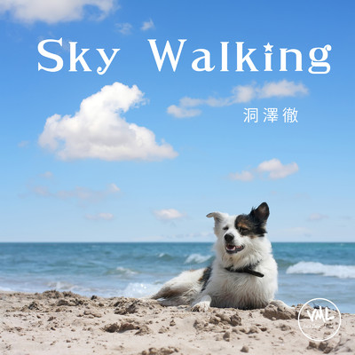Sky Walking/洞澤徹