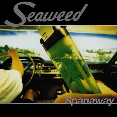 アルバム/Spanaway/Seaweed