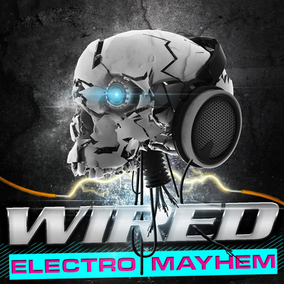 Wild Ride/DJ Electro