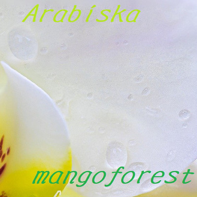 Arabiska/mangoforest