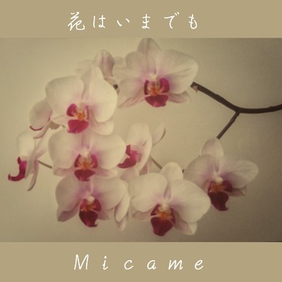 シングル/ニューカラーズ/micame