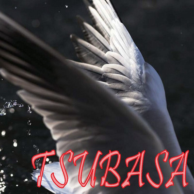 シングル/TSUBASA/Rossy
