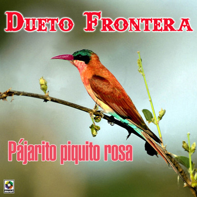 アルバム/Pajarito Piquito Rosa/Dueto Frontera