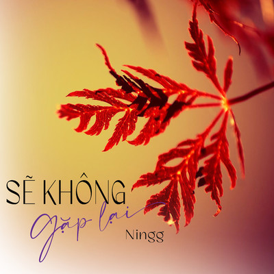 シングル/Se Khong Gap Lai/Ningg