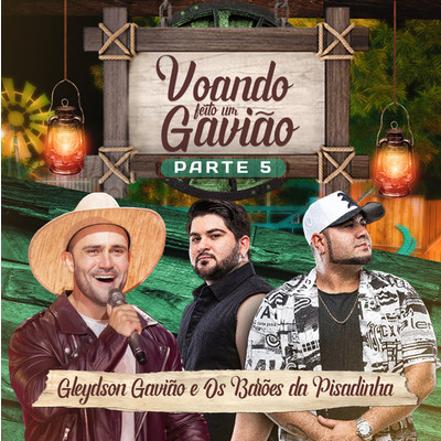アルバム/Voando Feito Um Gaviao, Pt. 5/Gleydson Gaviao