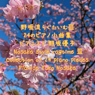 のんびりと一人旅-ピアノラグタイム作品49番/野坂優子